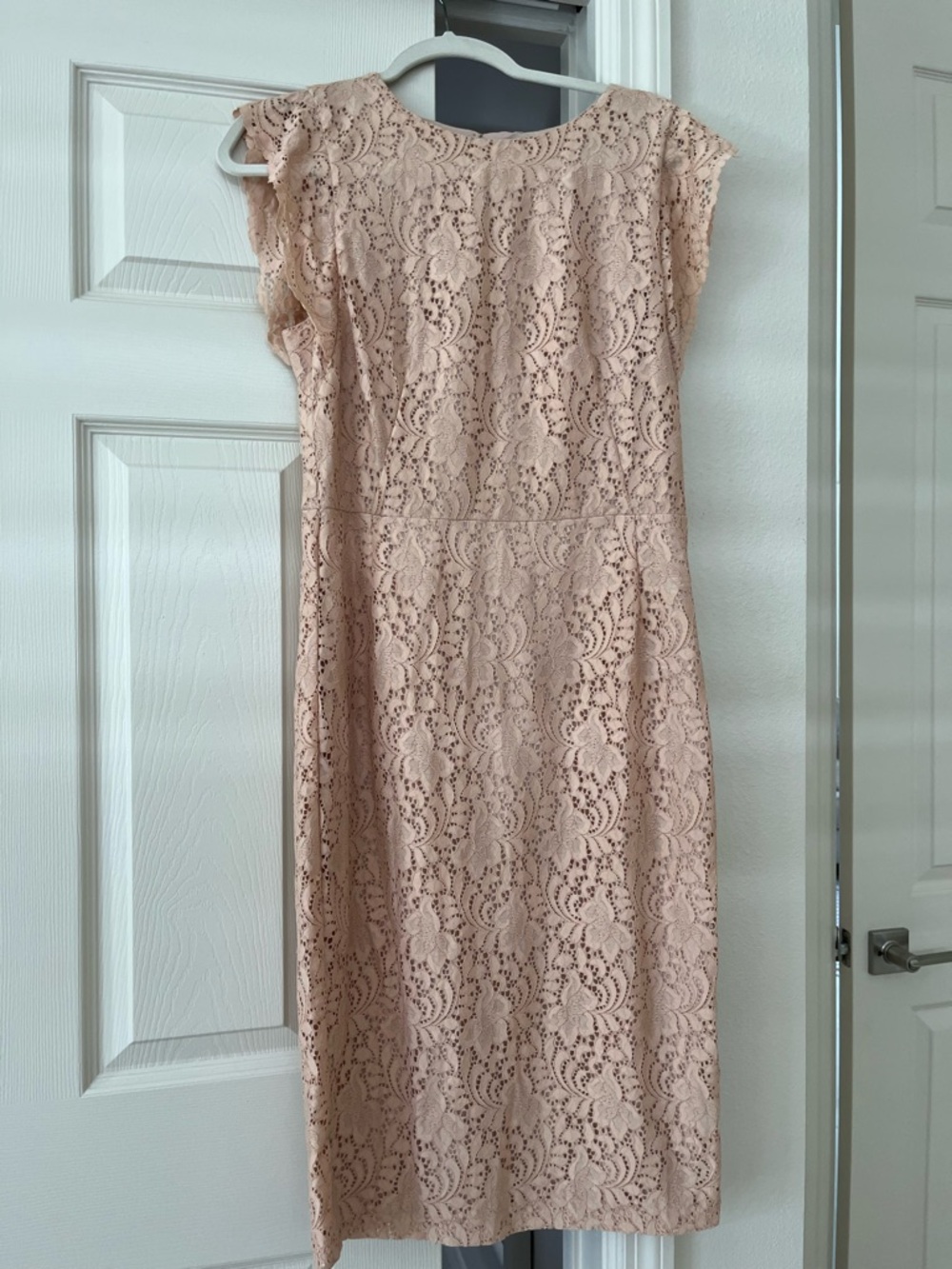 Zara Elegant Lace Sheath Dress in Blush Pink size largue